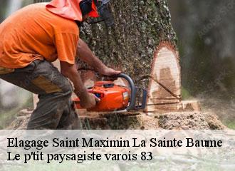 Elagage  saint-maximin-la-sainte-baume-83470 Le p'tit paysagiste varois 83