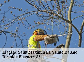 Elagage 83470