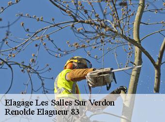 Elagage 83630