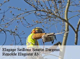 Elagage 83470