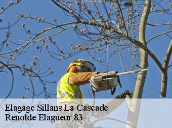 Elagage 83690