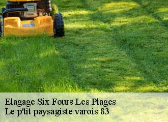 Elagage six-fours-les-plages-83140 Le p'tit paysagiste varois 83