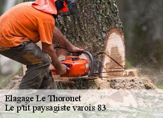 Elagage  le-thoronet-83340 Le p'tit paysagiste varois 83