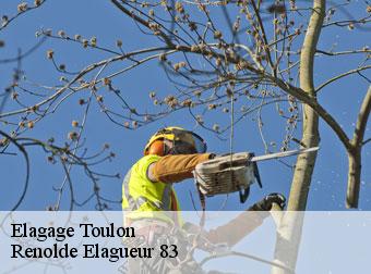 Elagage 83000