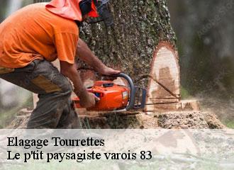 Elagage tourrettes-83440 Le p'tit paysagiste varois 83