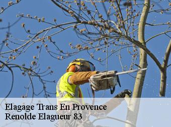 Elagage  83720