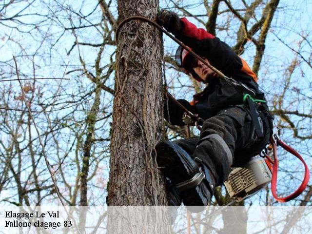 Elagage le-val-83143 Fallone elagage 83