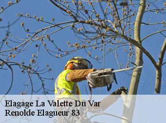 Elagage 83160