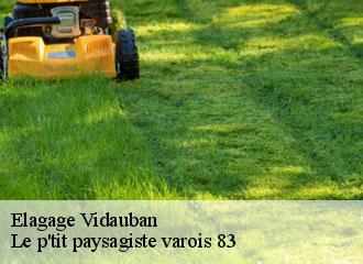 Elagage vidauban-83550 Le p'tit paysagiste varois 83