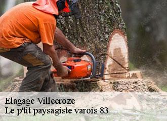 Elagage villecroze-83690 Le p'tit paysagiste varois 83