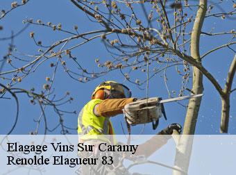 Elagage  83170