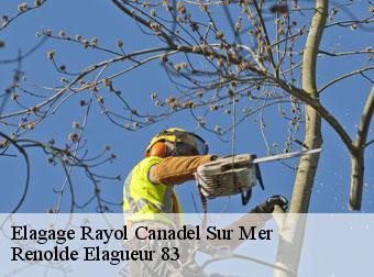 Elagage 83820