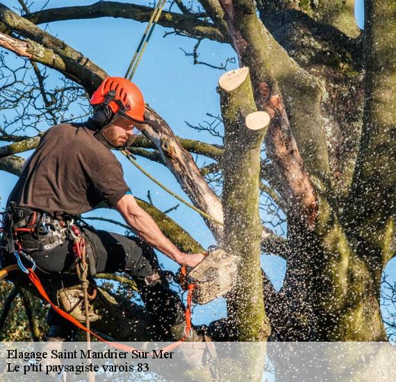 Elagage  83430