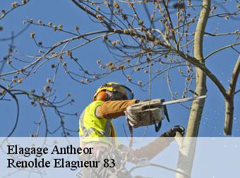 Elagage 83530