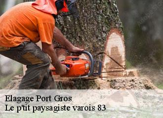 Elagage port-gros-83400 Le p'tit paysagiste varois 83
