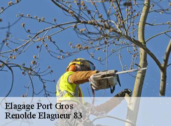 Elagage 83400