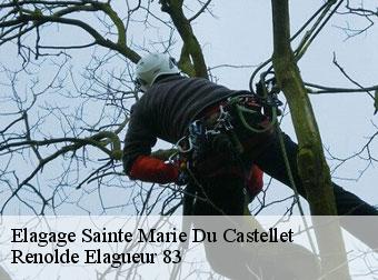 Elagage sainte-marie-du-castellet-83330 Renolde Elagueur 83