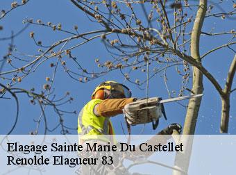 Elagage 83330