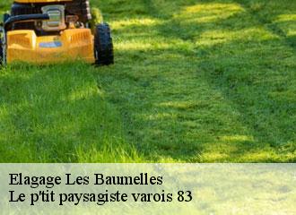 Elagage les-baumelles-83270 Le p'tit paysagiste varois 83