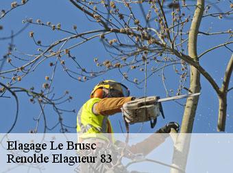 Elagage 83140
