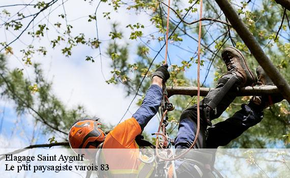 Elagage  83370
