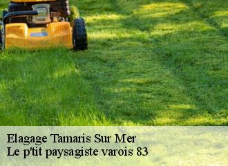 Elagage tamaris-sur-mer-83500 Le p'tit paysagiste varois 83