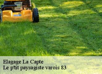 Elagage la-capte-83400 Le p'tit paysagiste varois 83