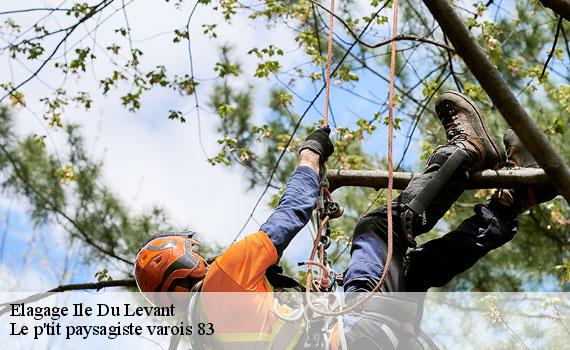 Elagage 83400