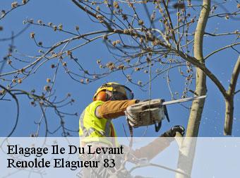 Elagage  83400
