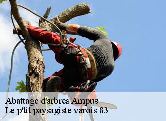 Abattage d'arbres ampus-83111 Le p'tit paysagiste varois 83