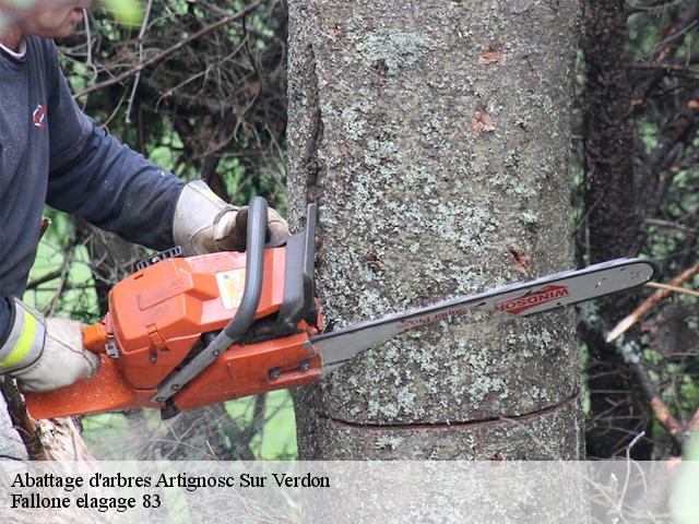 Abattage d'arbres  artignosc-sur-verdon-83630 Fallone elagage 83