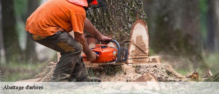 Abattage d'arbres  83630