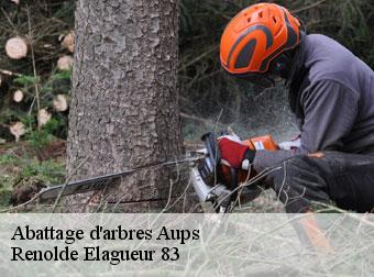 Abattage d'arbres 83630