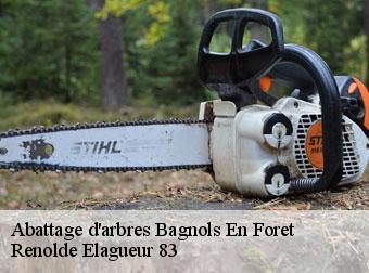 Abattage d'arbres bagnols-en-foret-83600 Renolde Elagueur 83
