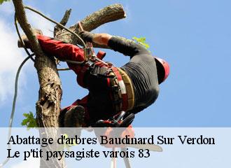 Abattage d'arbres baudinard-sur-verdon-83630 Le p'tit paysagiste varois 83