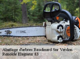 Abattage d'arbres baudinard-sur-verdon-83630 Renolde Elagueur 83