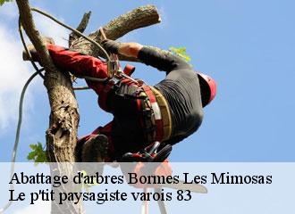 Abattage d'arbres bormes-les-mimosas-83230 Le p'tit paysagiste varois 83