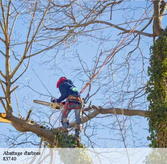 Abattage d'arbres 83740