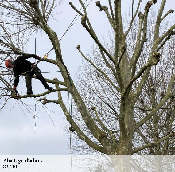 Abattage d'arbres 83740