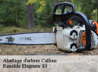 Abattage d'arbres callian-83440 Renolde Elagueur 83