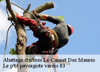 Abattage d'arbres  le-cannet-des-maures-83340 Le p'tit paysagiste varois 83