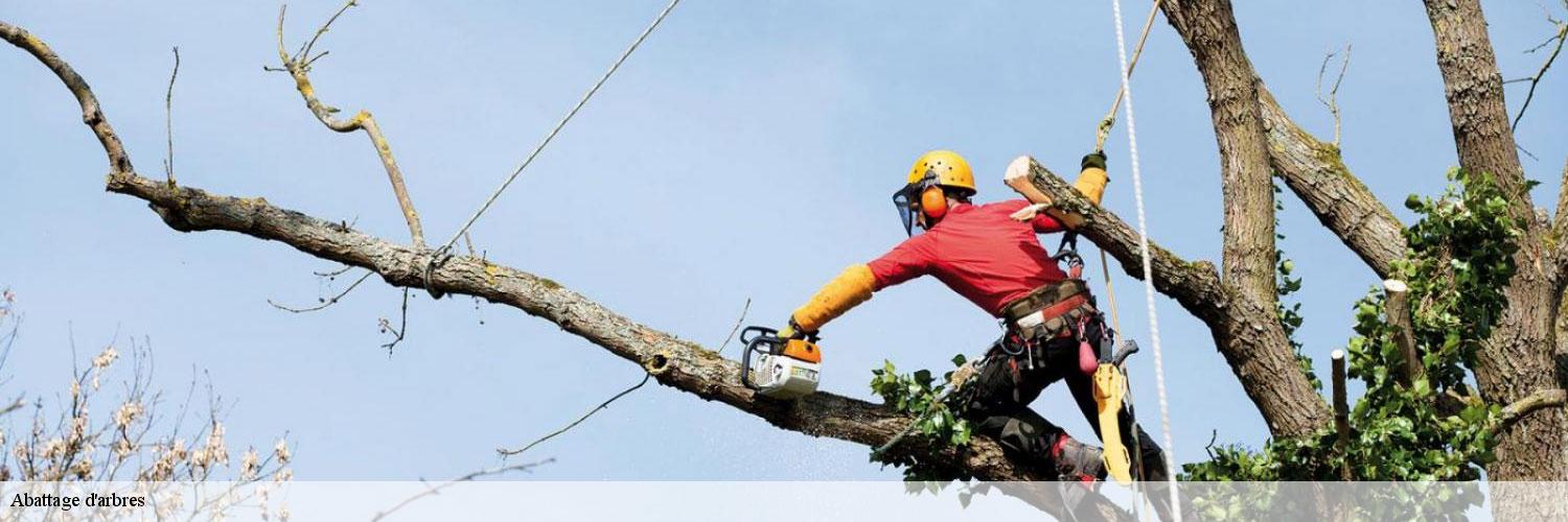 Abattage d'arbres  83300