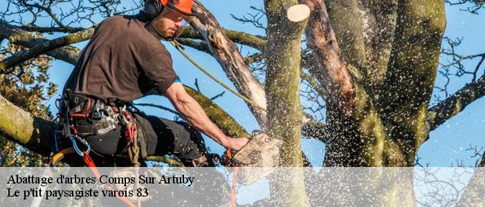 Abattage d'arbres 83840