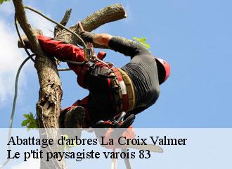 Abattage d'arbres  la-croix-valmer-83420 Le p'tit paysagiste varois 83