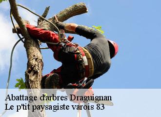 Abattage d'arbres  draguignan-83300 Le p'tit paysagiste varois 83