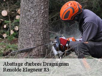 Abattage d'arbres  83300
