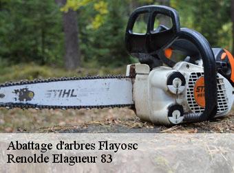 Abattage d'arbres flayosc-83780 Renolde Elagueur 83