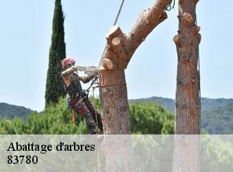 Abattage d'arbres 83780