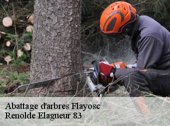 Abattage d'arbres 83780