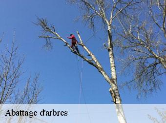 Abattage d'arbres 83780